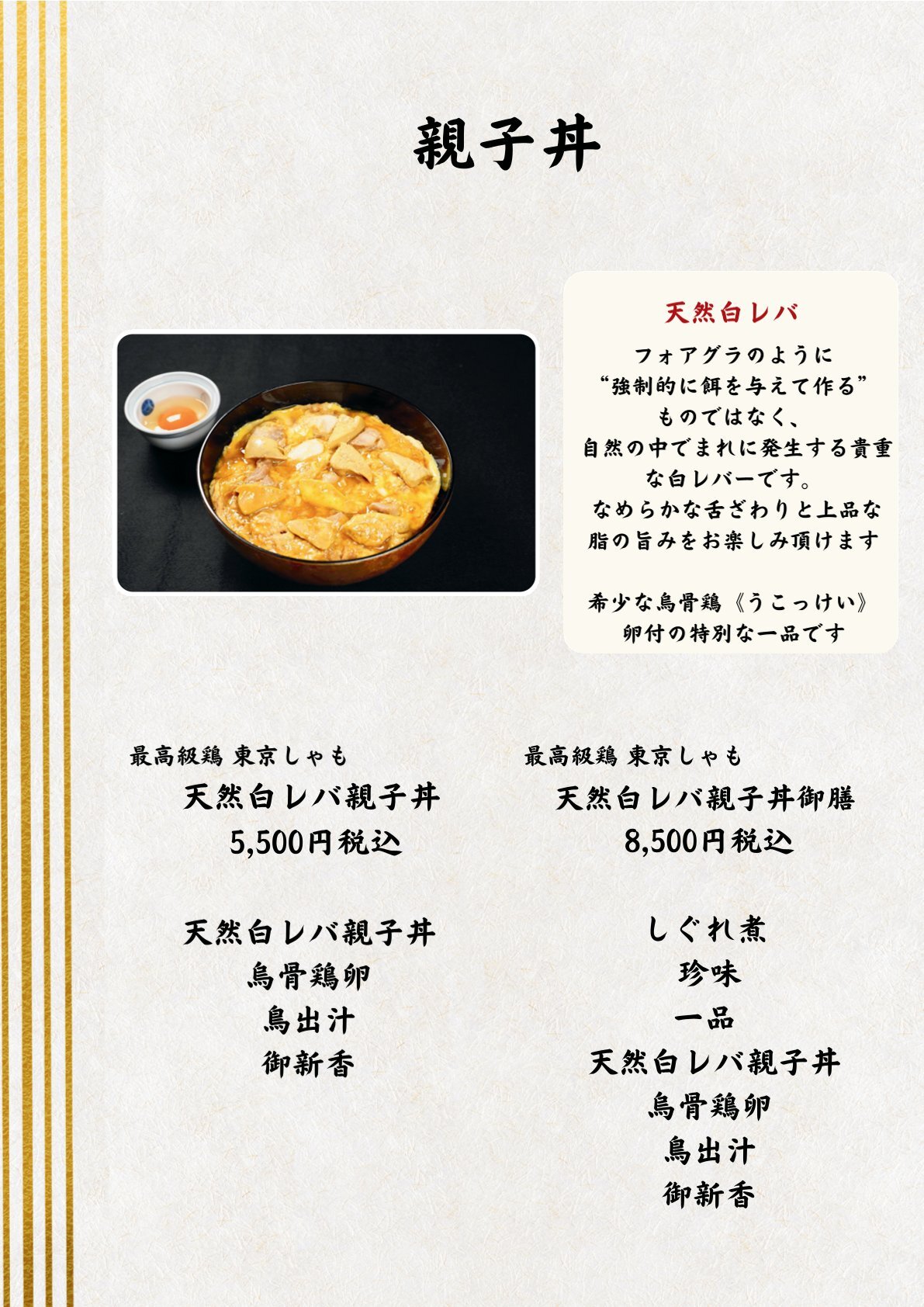活動歴および当時の関連ビジュアル記録