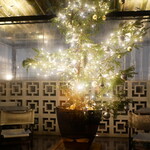 Daliguadalupe Terrace House - 