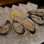 Daliguadalupe Terrace House - 