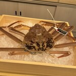 北新地 鮨 さえ㐂 - 