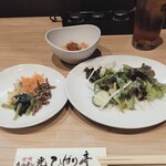 焼肉ホルモン 光 ひばり亭 - 