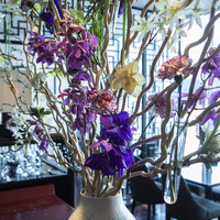 中国菜 老四川 飄香 - 