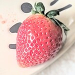 ロピア - シャワー後の苺ちゃん♫めっちゃキュート♬