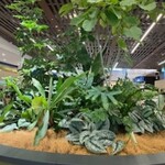 イオンスタイル - 