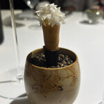 ラ・ヴァガボンド - 