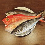 土佐堀だいにんぐ美宙 - 