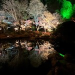 大観荘 - 円通院ライトアップツアー　鏡池