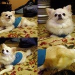 蒔田寿司 - くうちゃん♡