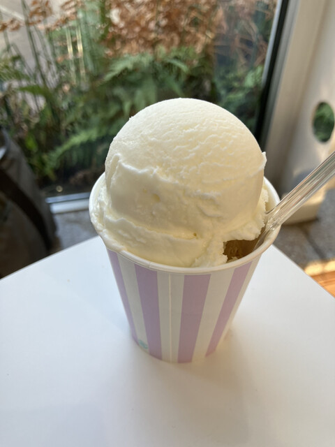 もがみ物産館 新庄店 &ndash; ジェラートとアイスクリームが楽しめるデザートスポット