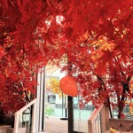 HAUTE COUTURE CAFE OMOTESANDO - 