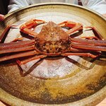 菊鮨 - 松葉カニ