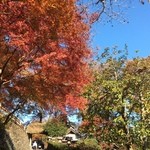 竹庵 - 紅葉の季節に最高ですね♪