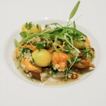 カンテサンス - 