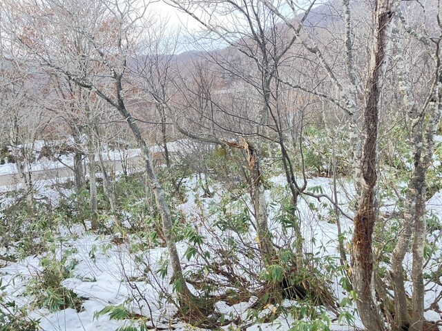 新玉川温泉 - 仙北市その他（旅館・民宿）の写真