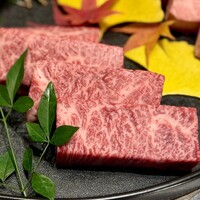 USHIGORO S. SHINJUKU - 