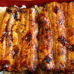 かねりん鰻店 - うな重 上 アップ