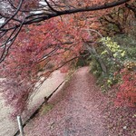 月待の滝 もみじ苑 - 駐車場からもみじ苑までの通路