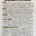 月待の滝 もみじ苑 - 