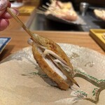 とりの小路 やま岸 - 