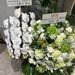 博多うどん 中村にぼし - 