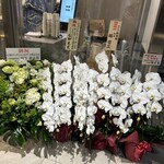 博多うどん 中村にぼし - 