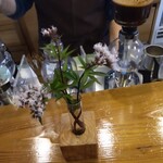 かりんとう - サイフォン