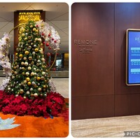 オールデイダイニング リモネ(リーガロイヤルホテル大阪) - 