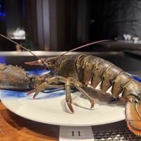 Wolfgang's Steakhouse Teppan - 