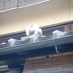 御料理 はやし - 店主の娘さんが作られたというお相撲さんがお出迎え