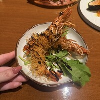 クインチチェントラーレ - 