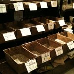 自家焙煎珈琲豆 Lumba Mia - 