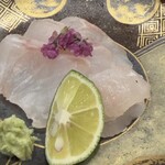 東桜 瑞穂 - クエのお刺身
