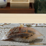 東桜 瑞穂 - アジ