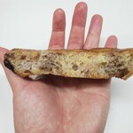 ダーシェンカ - 