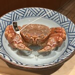 Ginza Kani Akatsuki - 