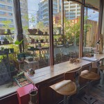 森森舎 - 明るいカウンター席　おひとり様でも全然楽しい席