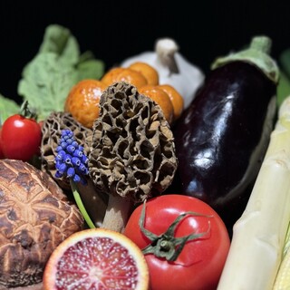 KITASHINCHI 鉄板焼 sia_2