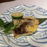 魚と煮込みとわら焼きと ととと - 