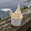 道の駅 フェニックス - 料理写真:名物ソフトクリーム　日向夏