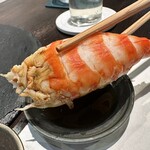 鮨 海市 - 【2025.11.28(金)】鮨一人前盛（8貫1本）3,850円