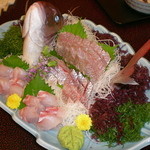 Yuusu Itei Isagoya - 大きな真鯛の造り　美味すぎる