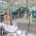 MAISON CLASSIC SALON - 駅構内が眺められる稀有なロケーション