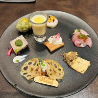 オッジ ダルマット 西麻布店 - 