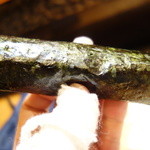 天寿し - 横から