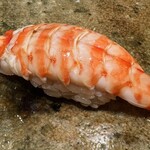 神田錦町 鮨たか晴 - 車海老（宮島）