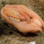 神田錦町 鮨たか晴 - 赤貝ヒモ