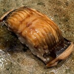 神田錦町 鮨たか晴 - 穴子