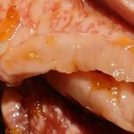 GoKuRaKu YaKiNiKu はらみた屋 - 料理写真: