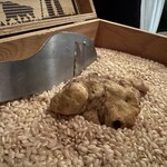 エルミタージュ ドゥ タムラ - 