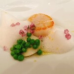 小笠原伯爵邸 - 